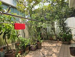 Paya Lebar Crescent (D19), Semi-Detached #628449741